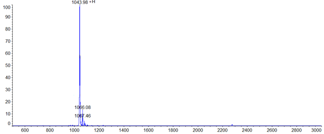 MS Profile :